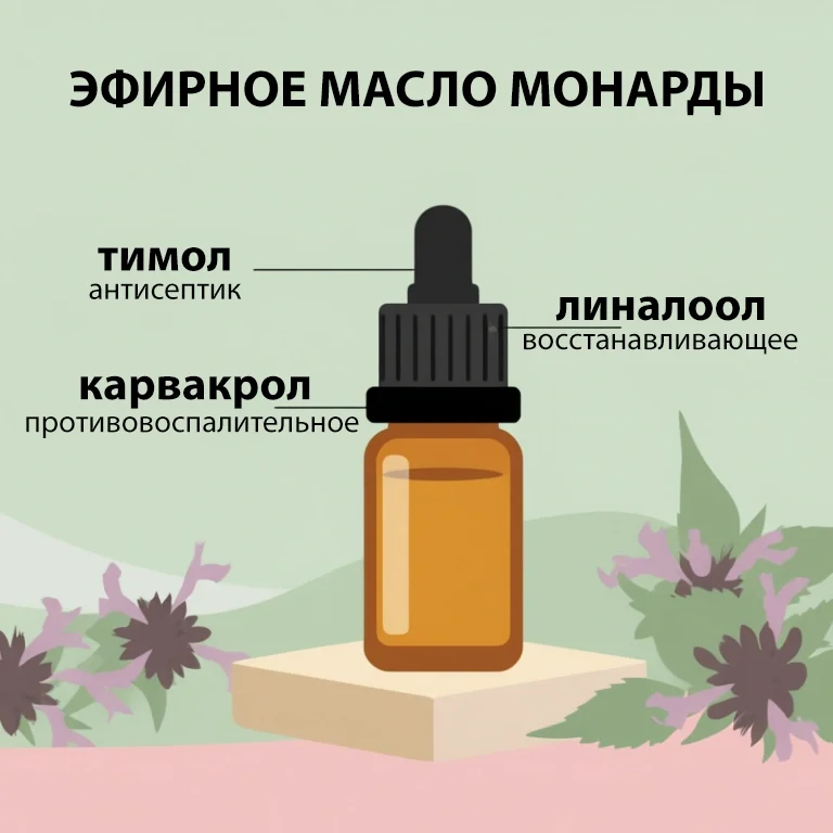 Масло монарды — состав и свойства